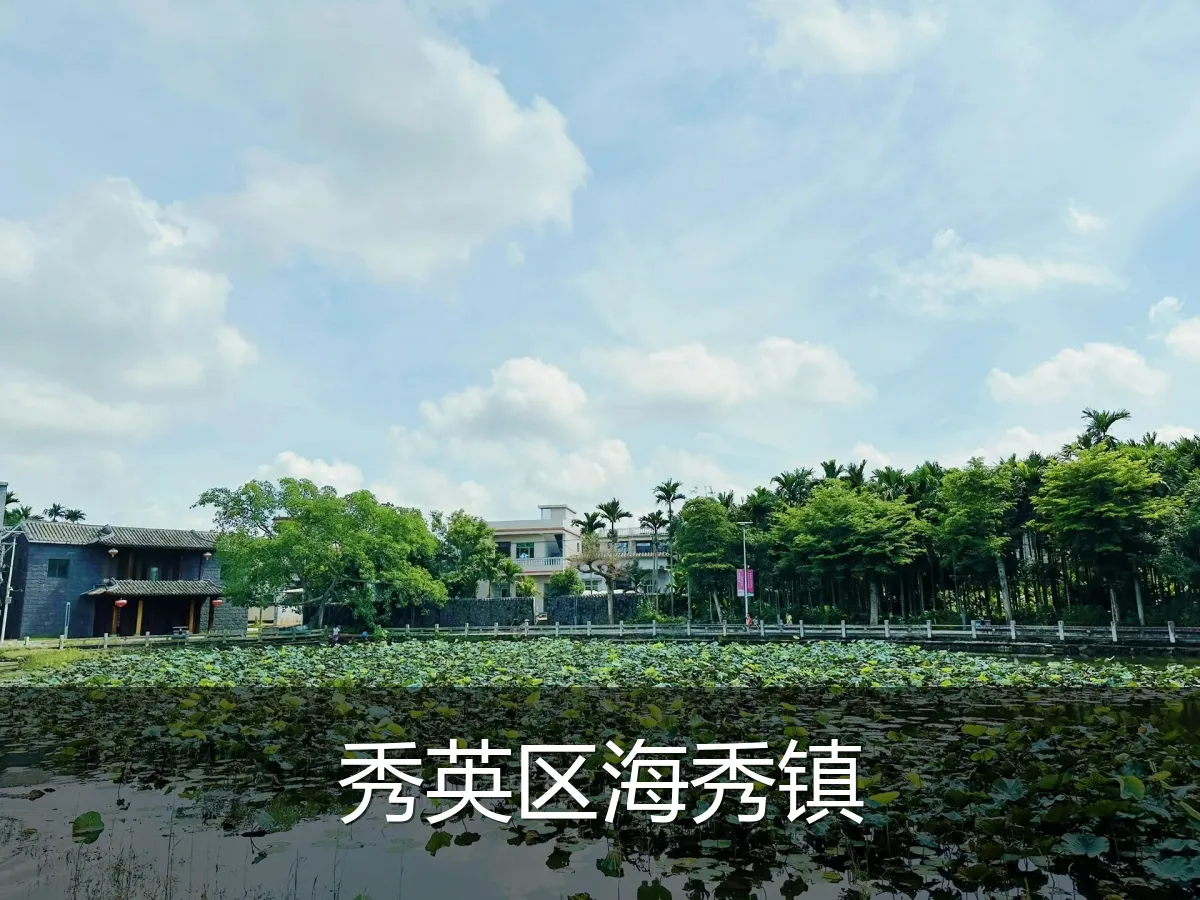 秀英区海秀镇
