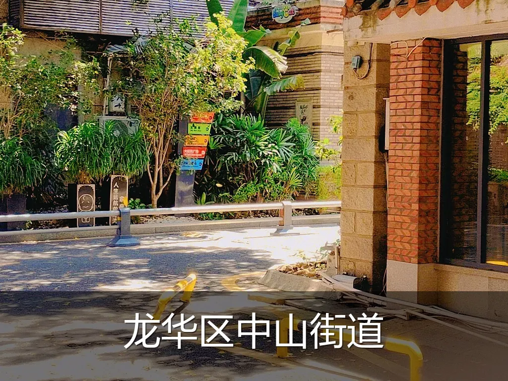 龙华区中山街道