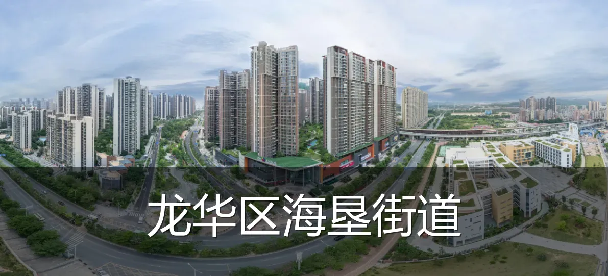 龙华区海垦街道